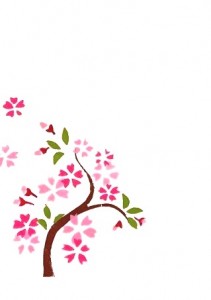 さくら～桜の木